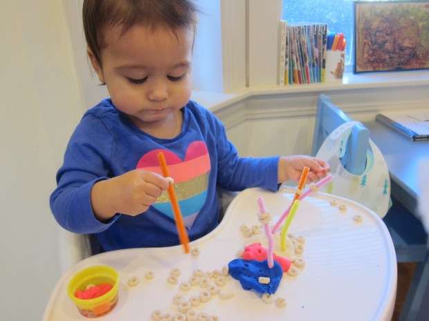 Cheerio Pipecleaner (5)