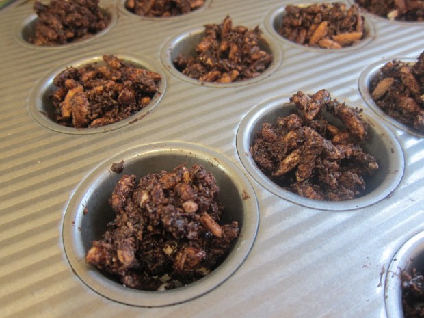 Chocolate Crackles (1)