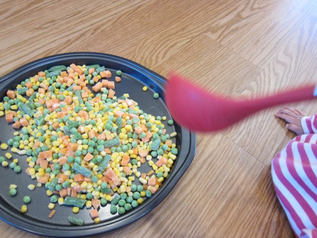 Edible Frozen Veggies (2)