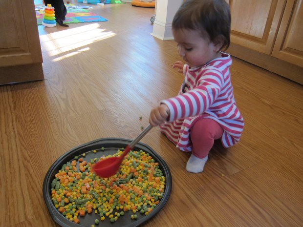 Edible Frozen Veggies (3)