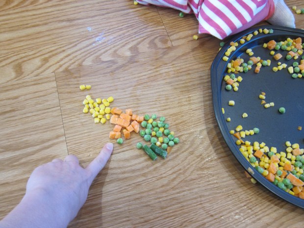 Edible Frozen Veggies (6)