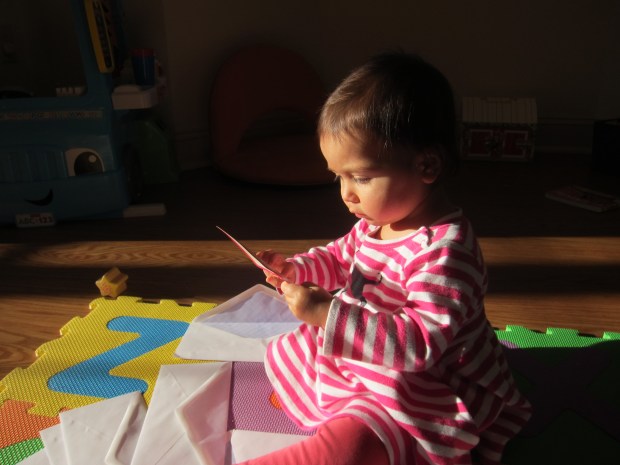 Flashcard Envelopes (6)