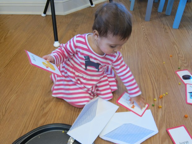 Flashcard Envelopes (8)