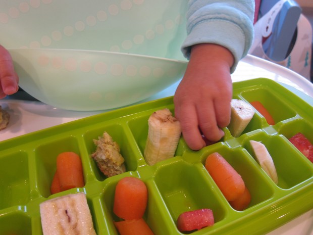 Food Explore Station (3)