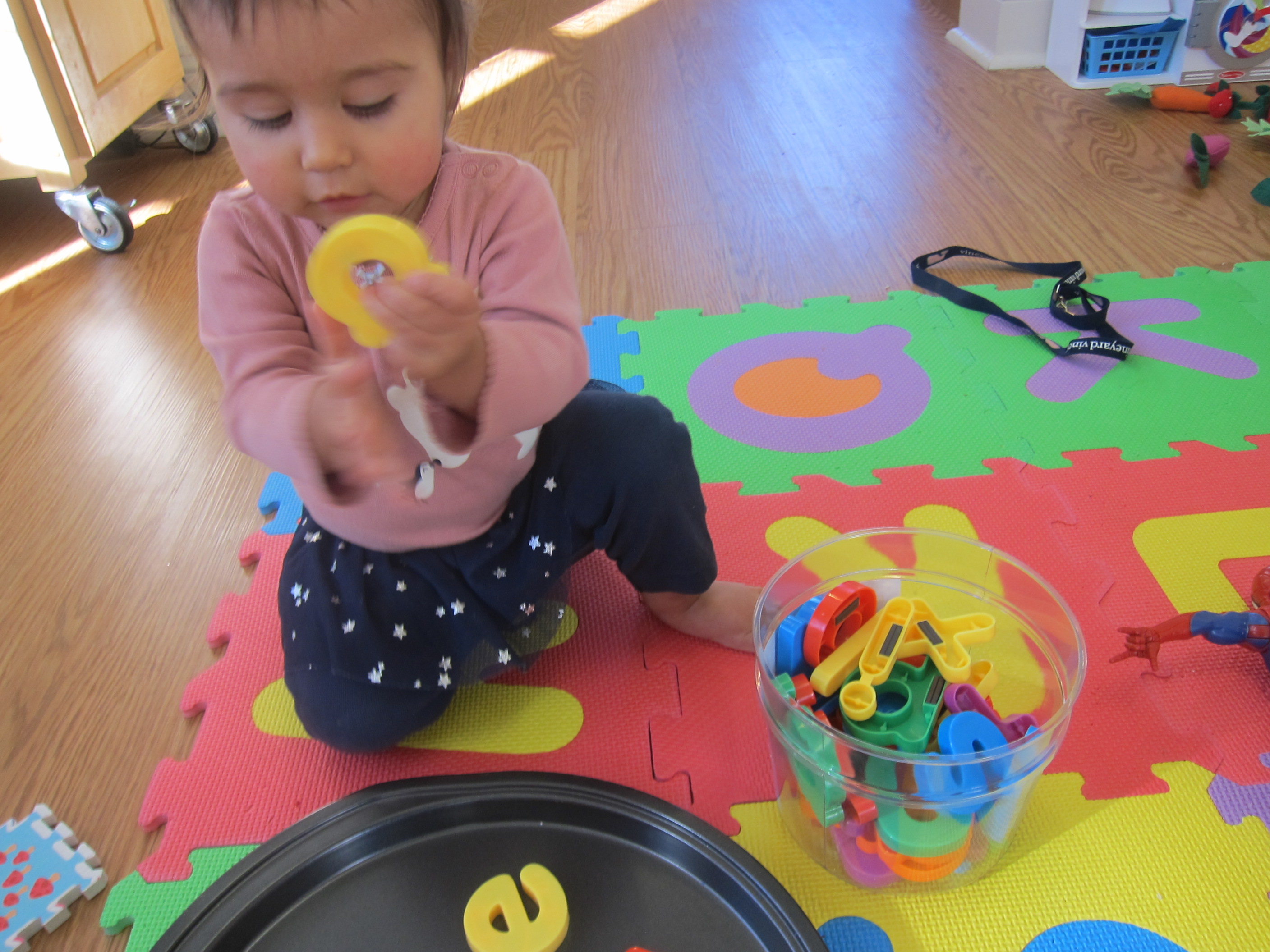 Magnets and Tray (1)