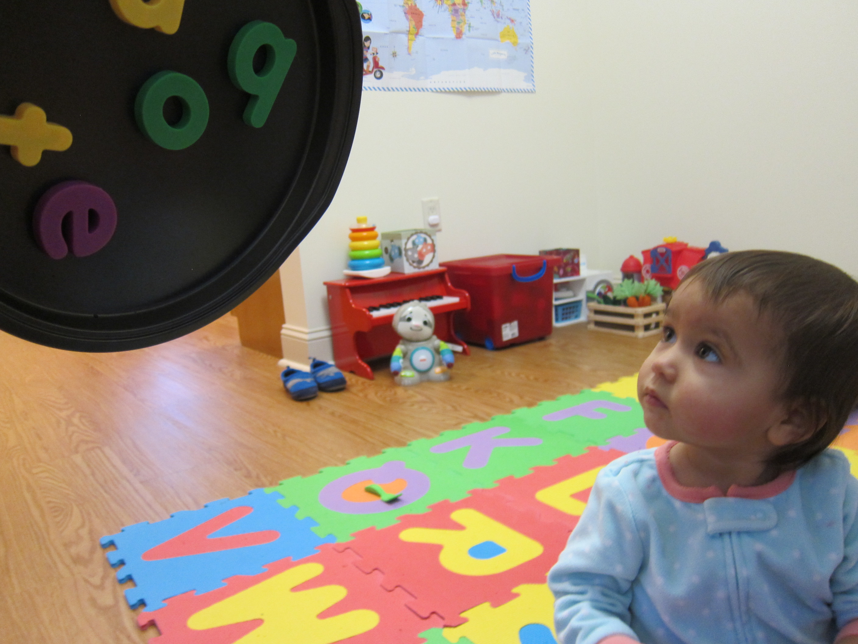Magnets and Tray (5)