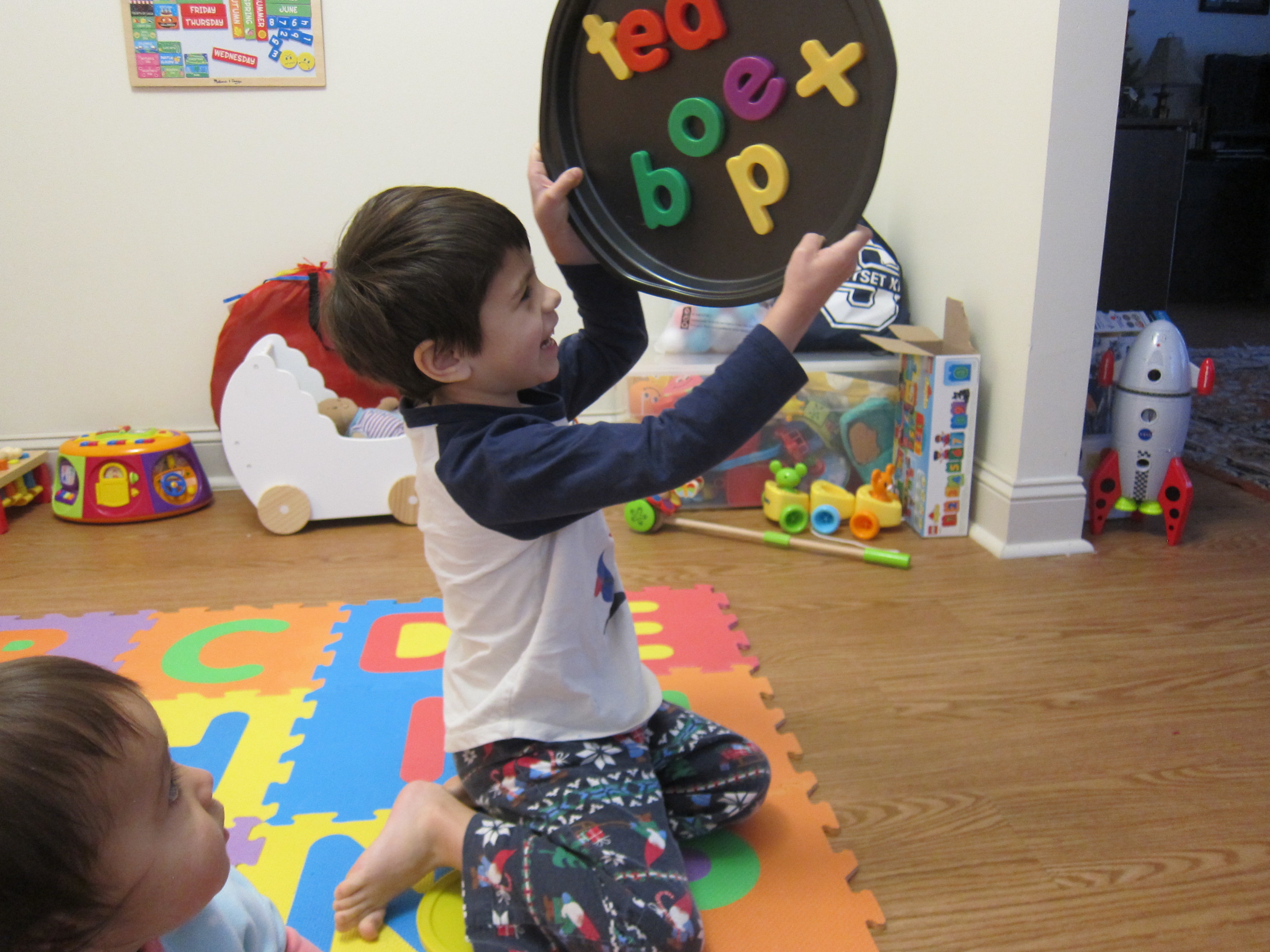 Magnets and Tray (6)