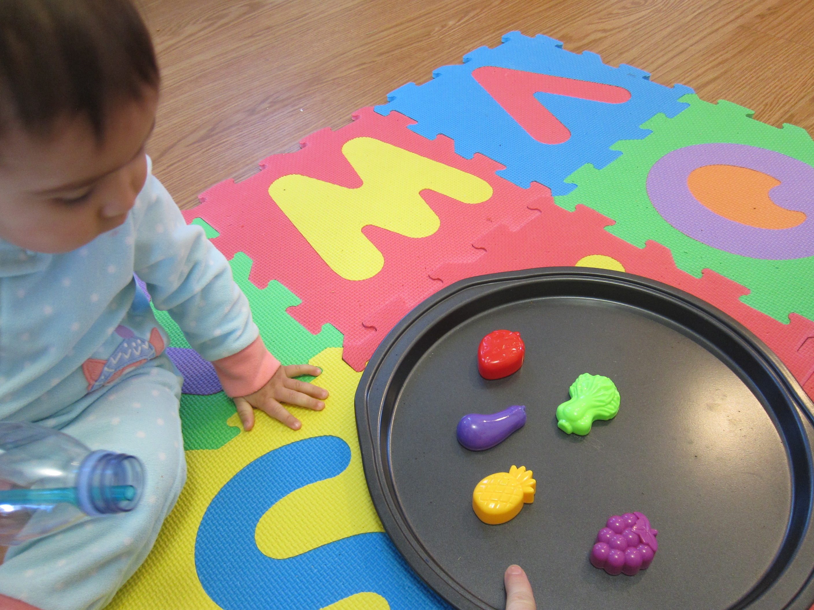 Magnets and Tray (7)