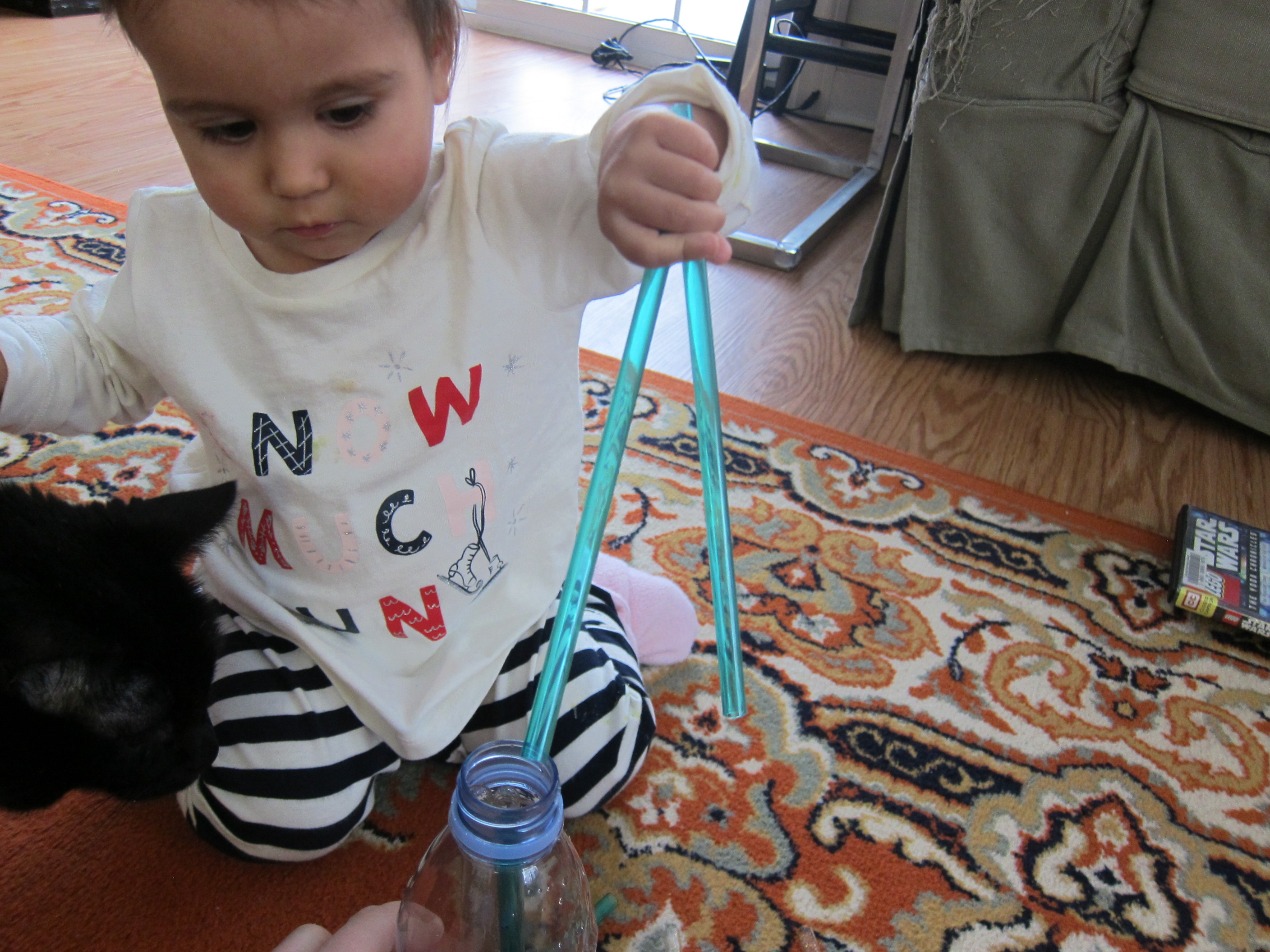 Straws in Bottle (5)