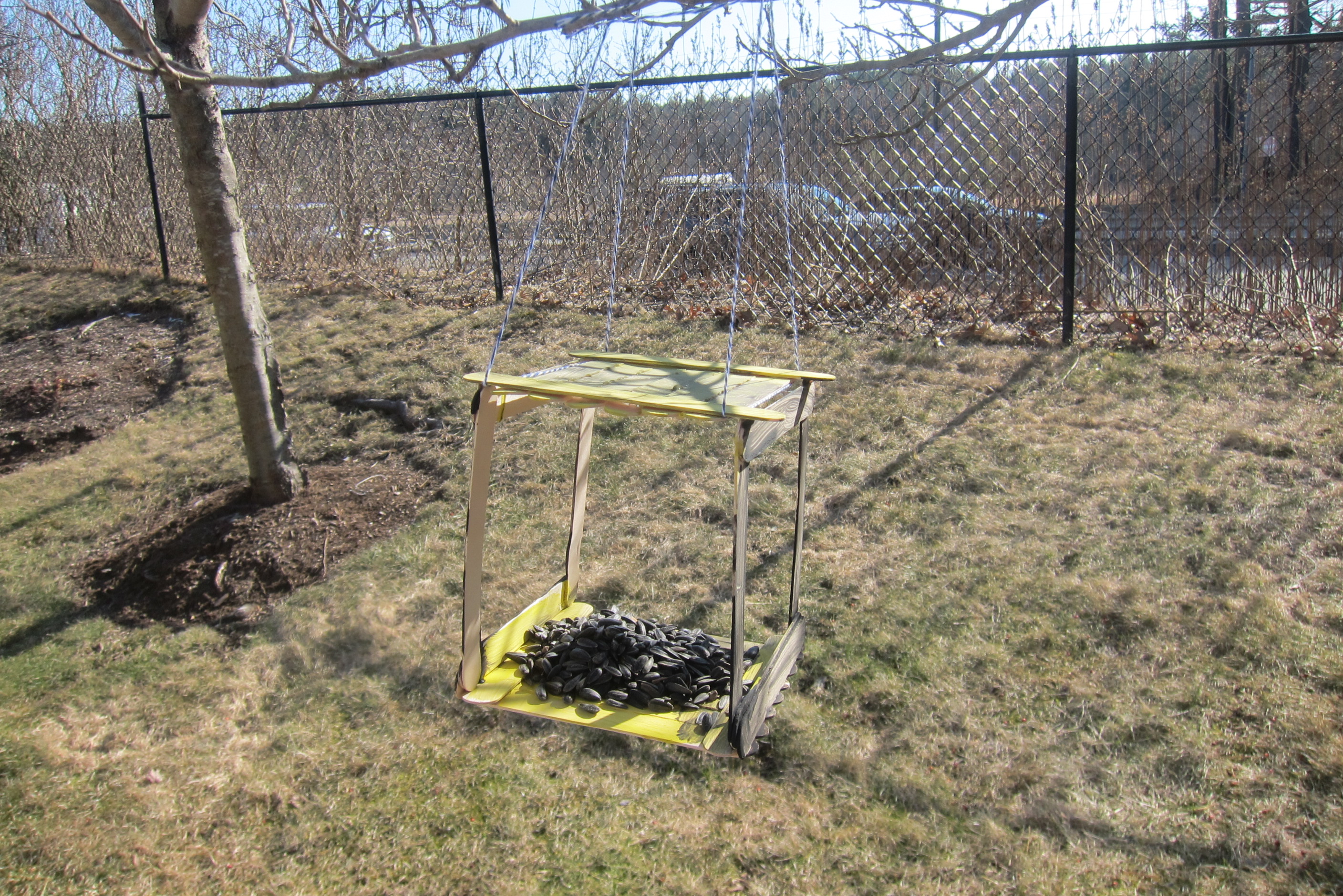 Feed Feathered Friends (6)