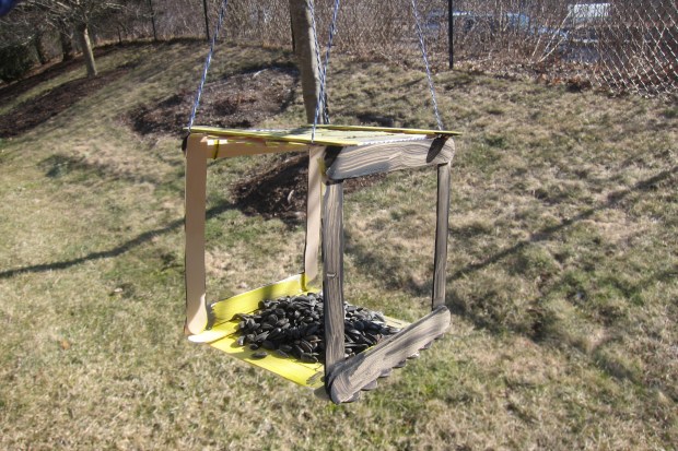 Feed Feathered Friends (7)