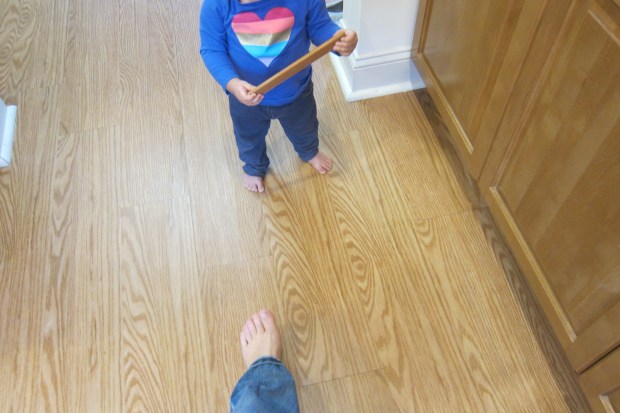 Follow the Leader (2)