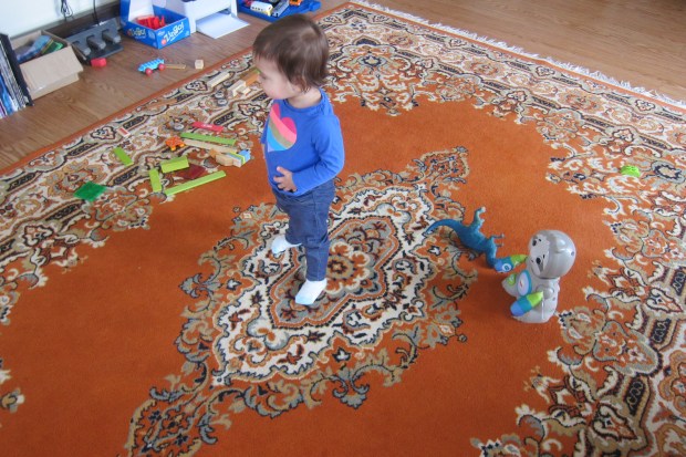 Follow the Leader (6)