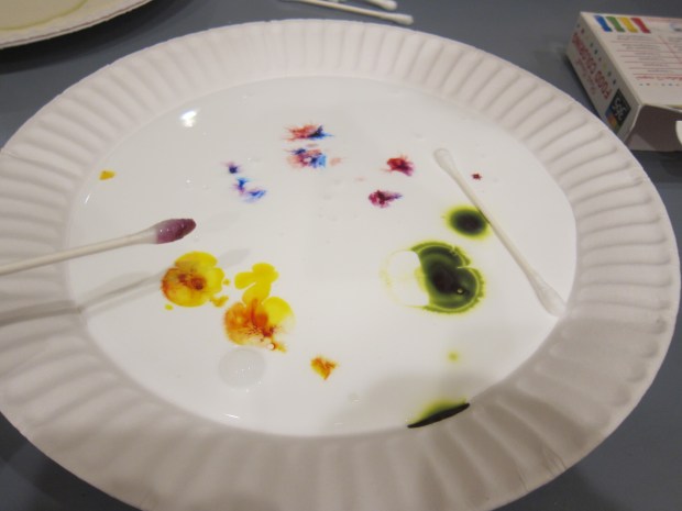 Northern Lights (11)