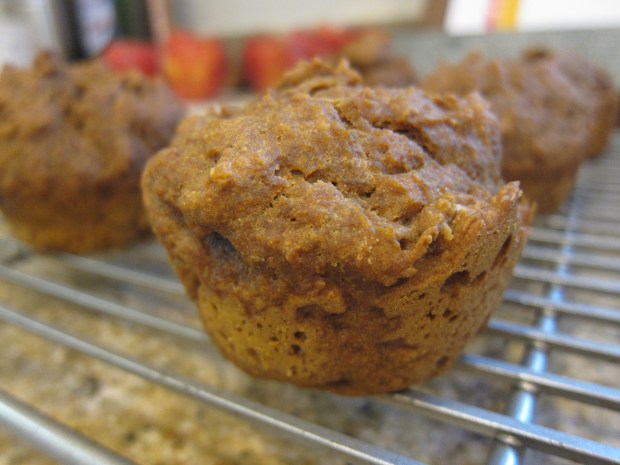 Pumpkin Muffins (1)
