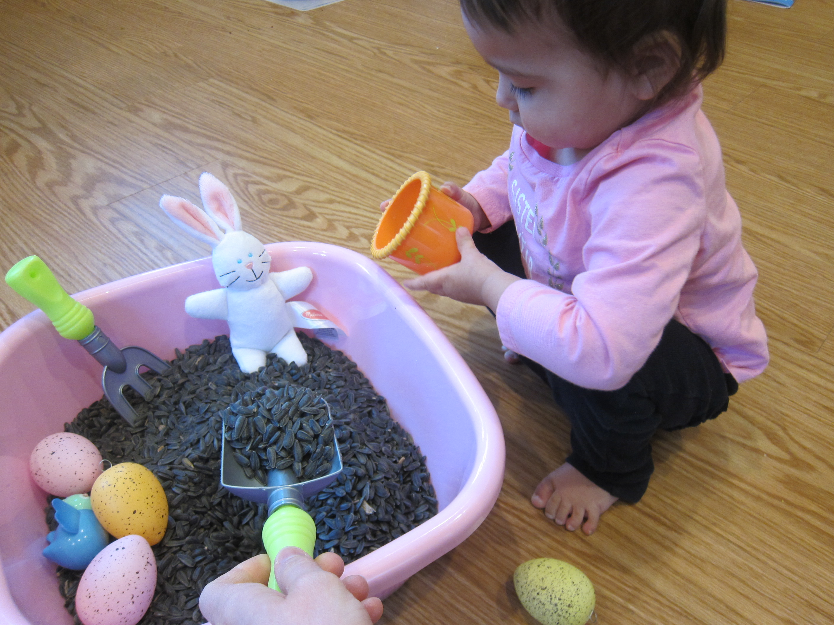 Birdseed Sandbox (2)