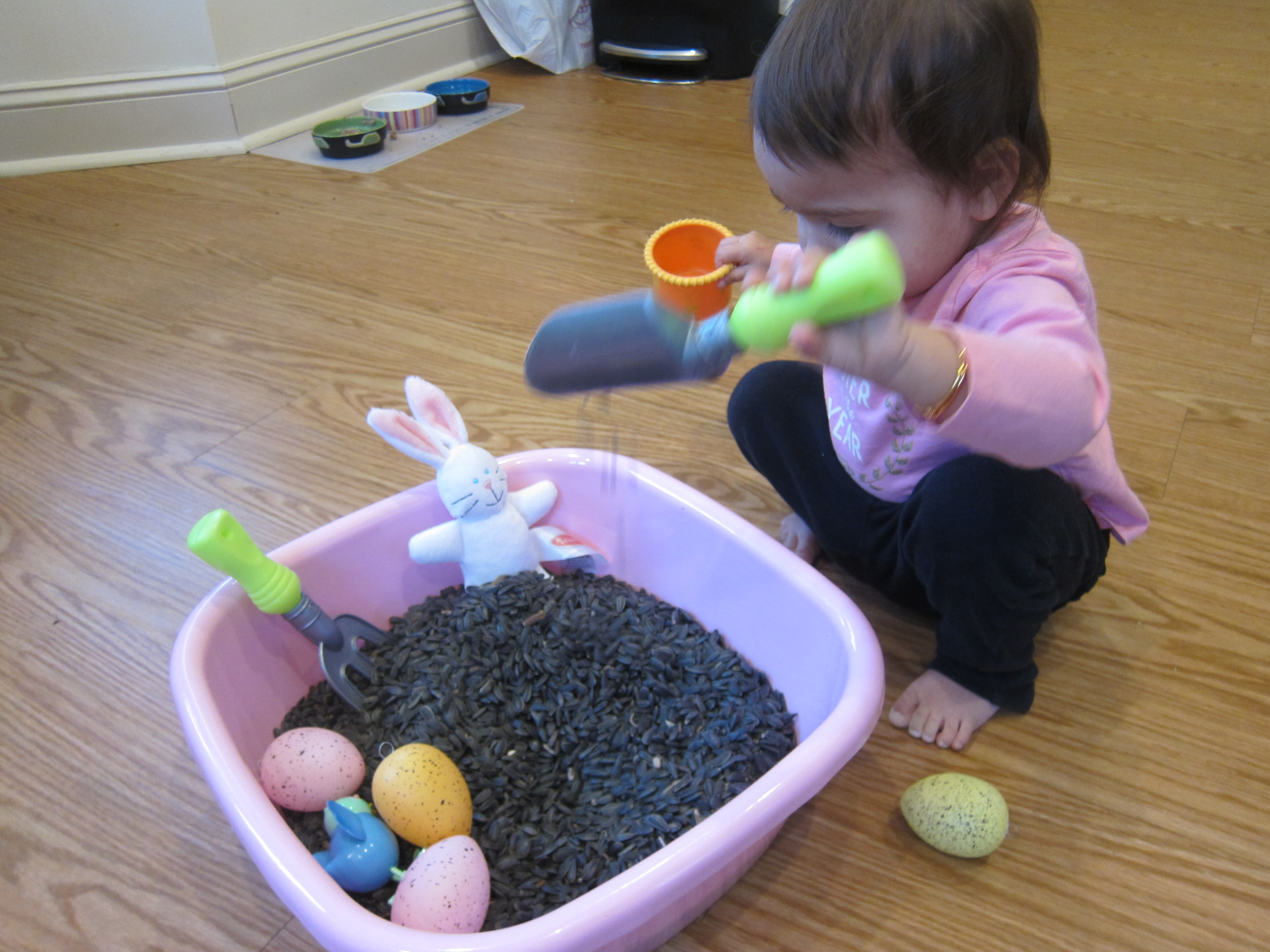 Birdseed Sandbox (3)