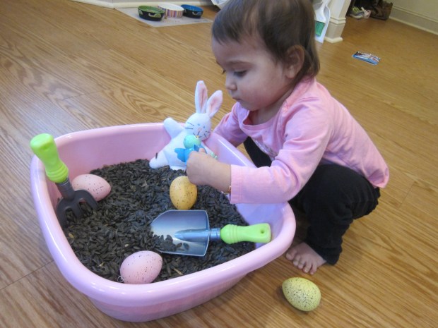 Birdseed Sandbox (5)