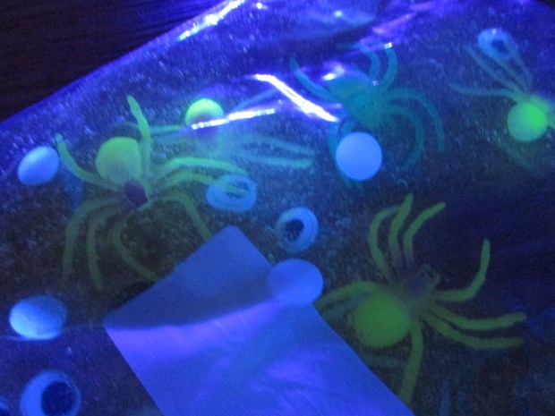 Glow Bag (5)