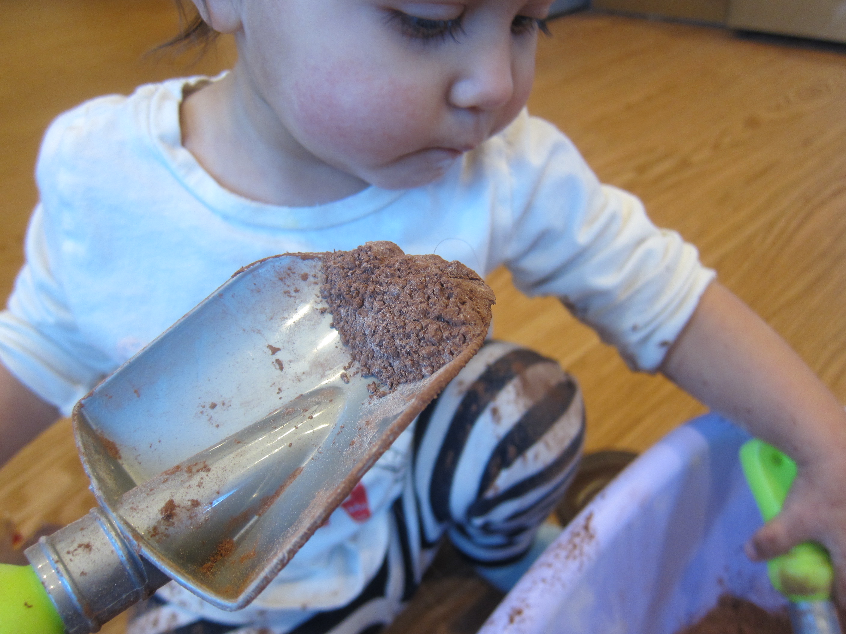 Hot Cocoa Sensory (8)