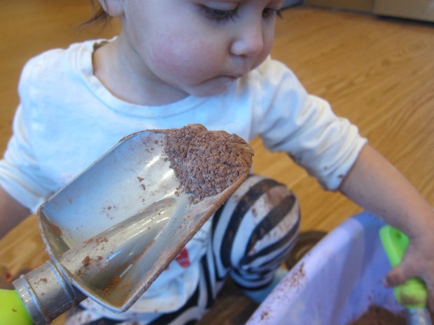 Hot Cocoa Sensory (8)