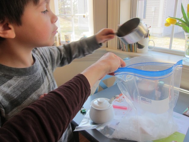 Ice Cream Snowballs (1)