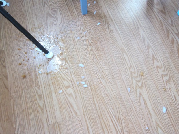 Ice Cream Snowballs (5)