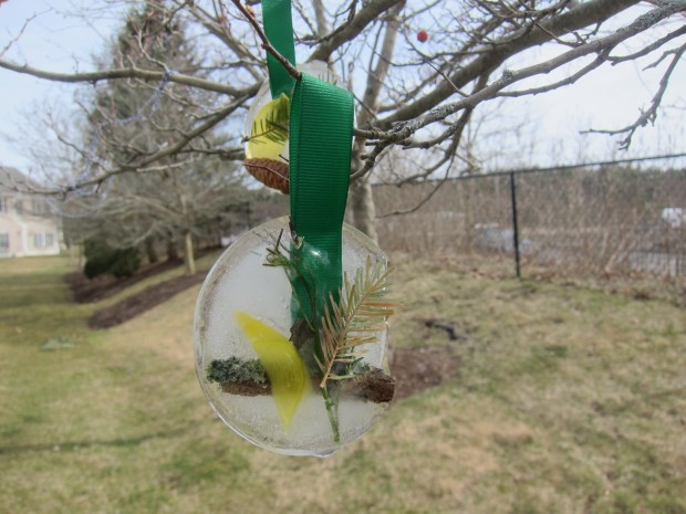 Ice Suncatcher (6)
