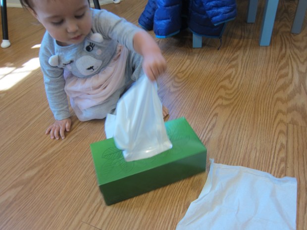 Kleenex Box (1)