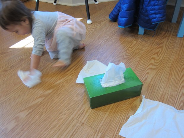 Kleenex Box (2)