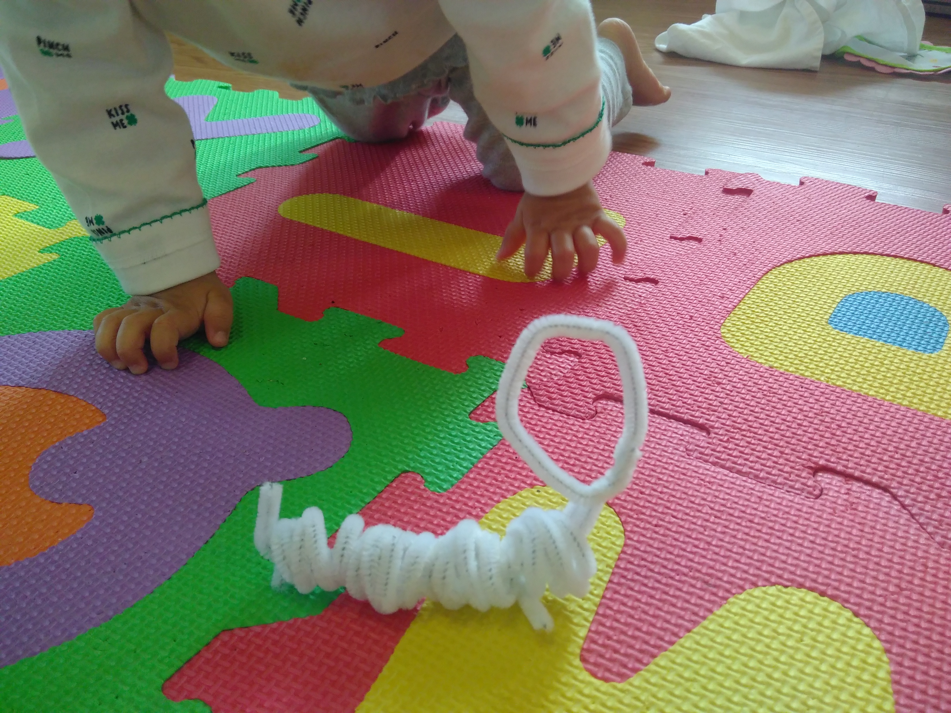 Pipe Cleaner Sculpture (3)