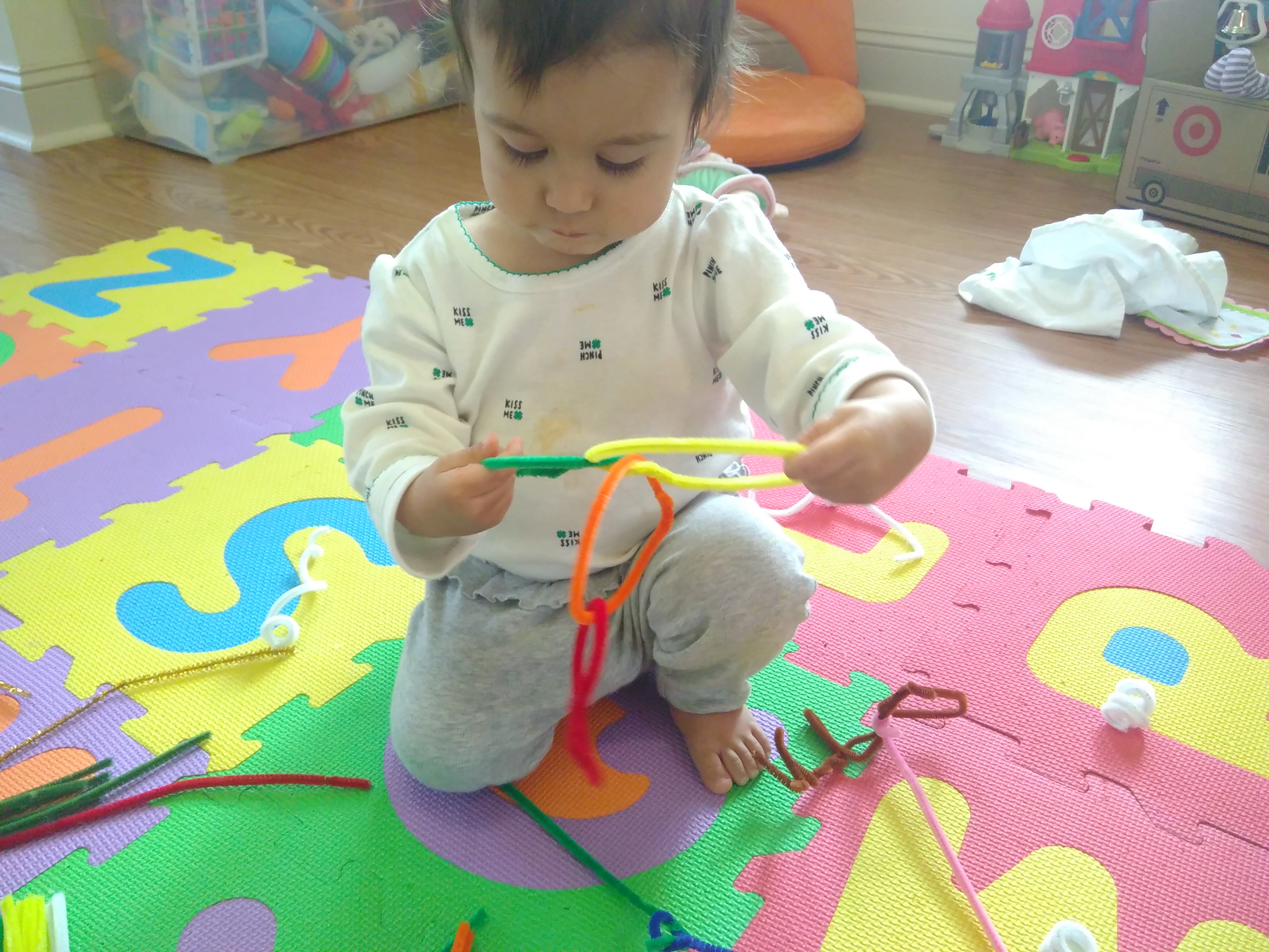 Pipe Cleaner Sculpture (6)