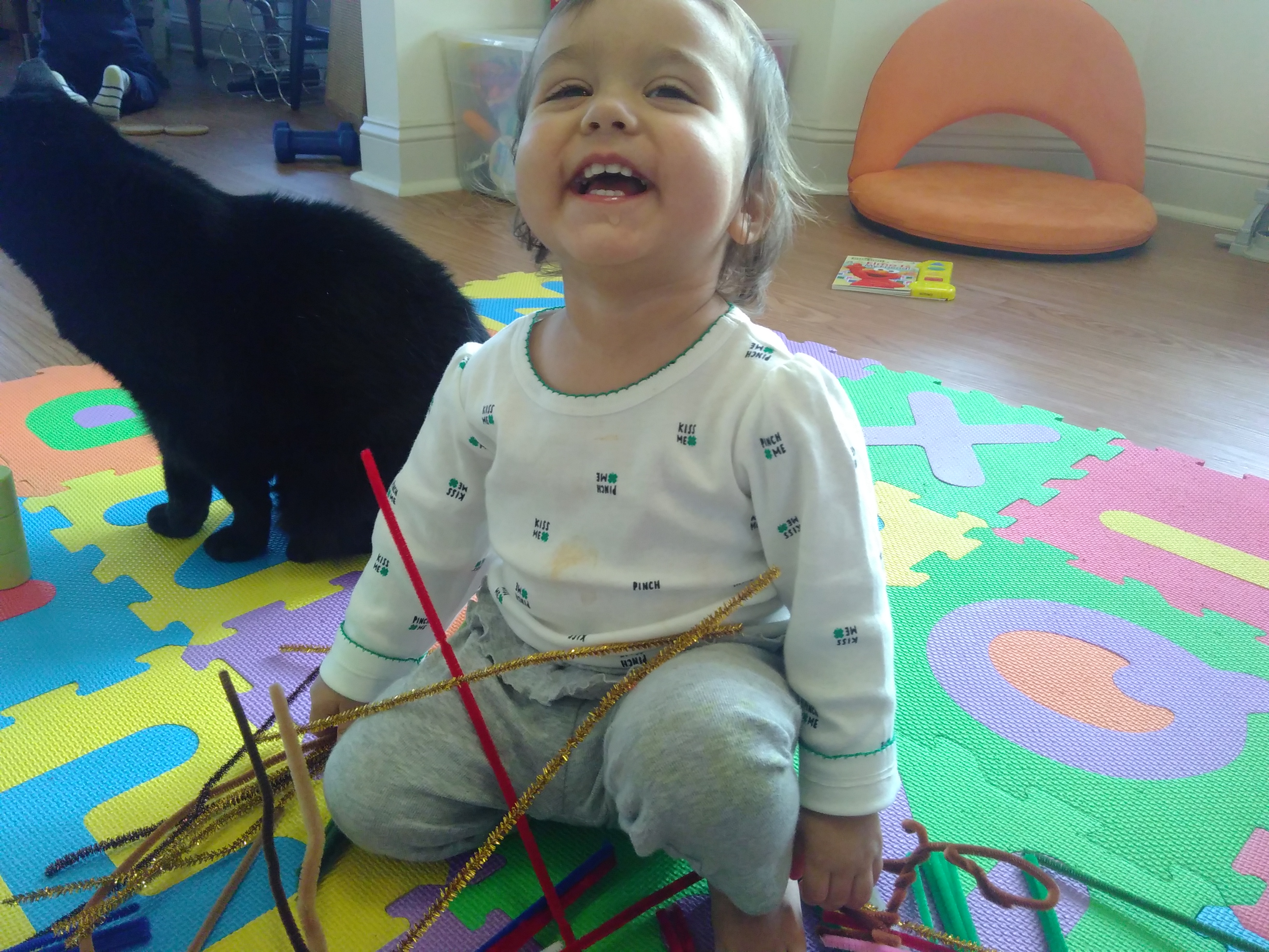 Pipe Cleaner Sculpture (var)