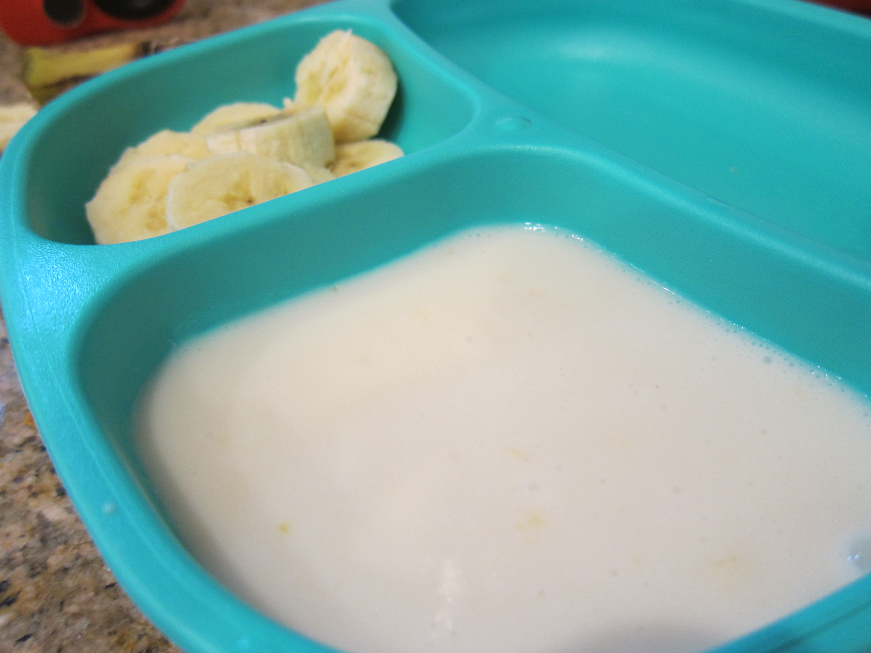 Tropical Pudding DIp (2)