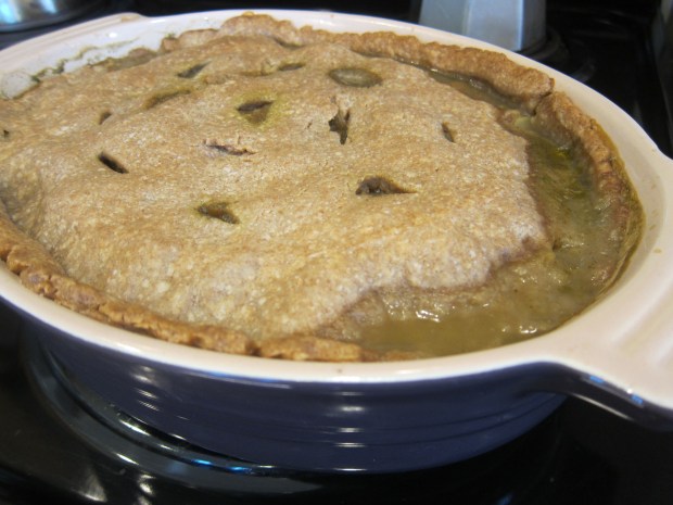 Veg Tofu Pot Pie (2)