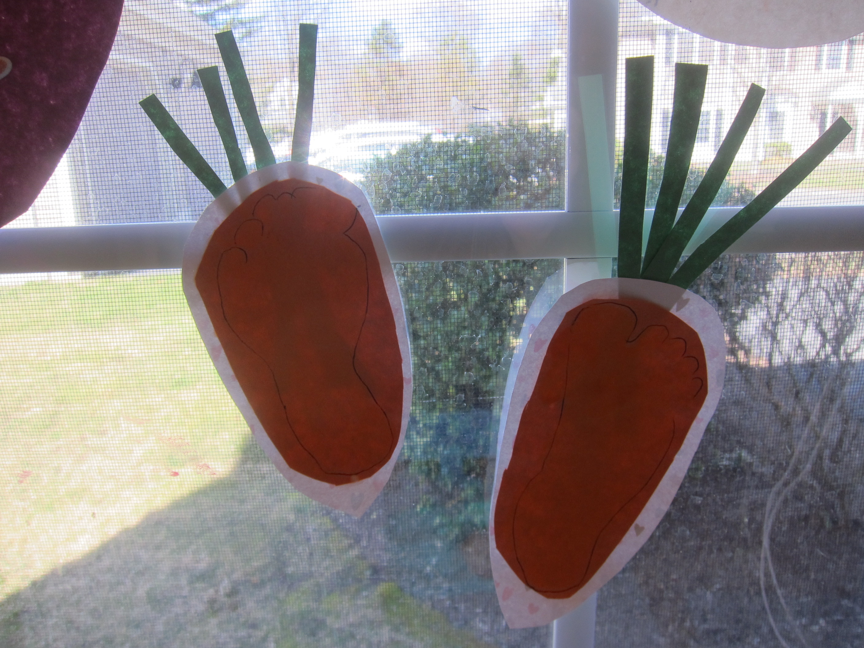 Carrot Footprint (5)