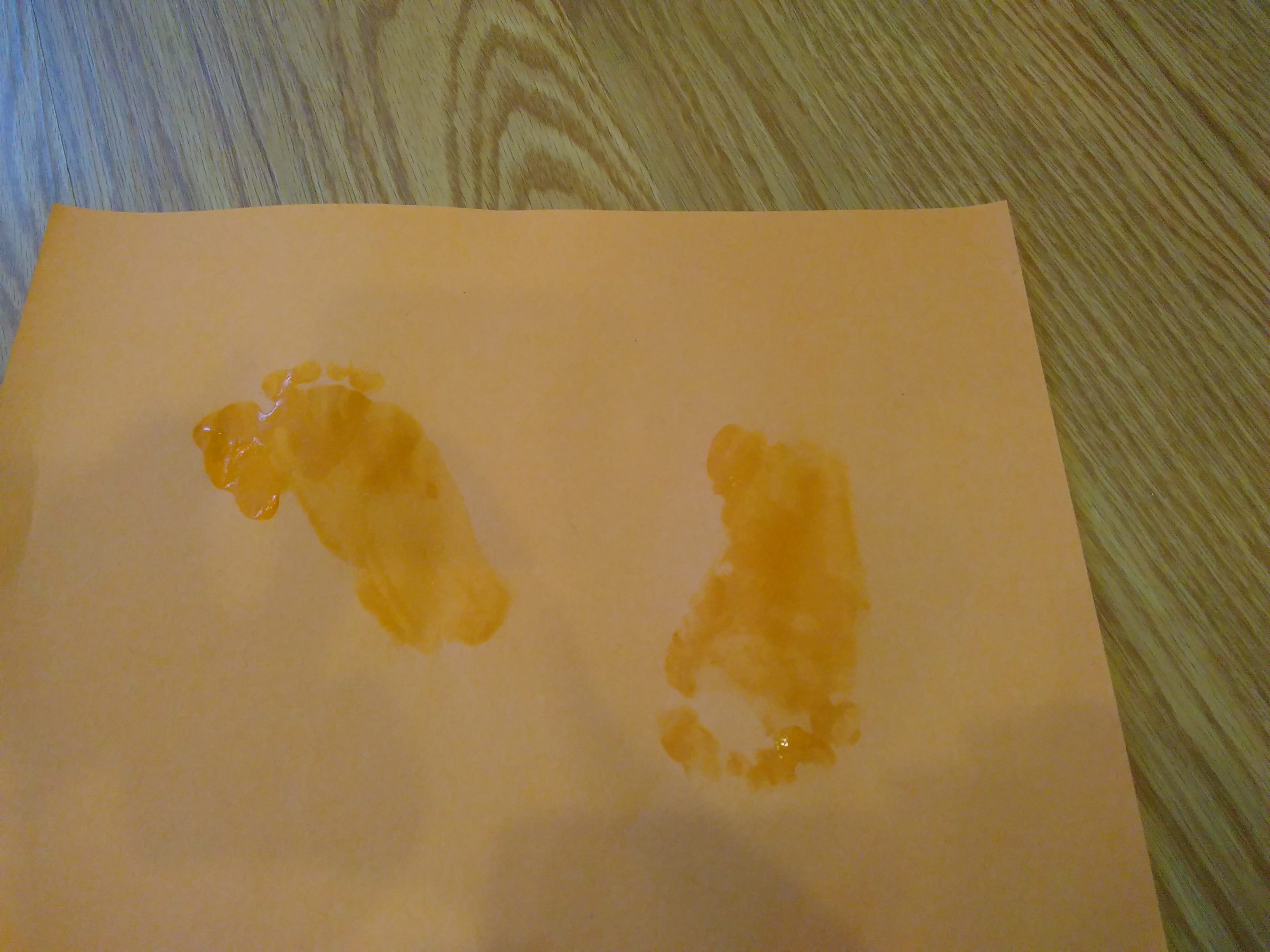 Carrot Footprint (6)