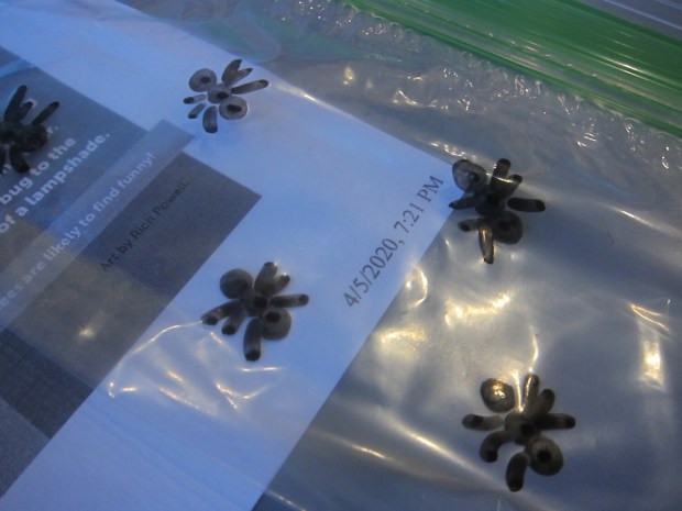 Creepy Crawly Prank (1)