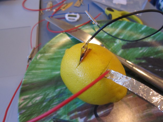 Lemon Battery (4)