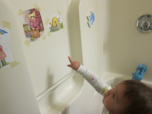 Michaelangelo's Bathtub (3)