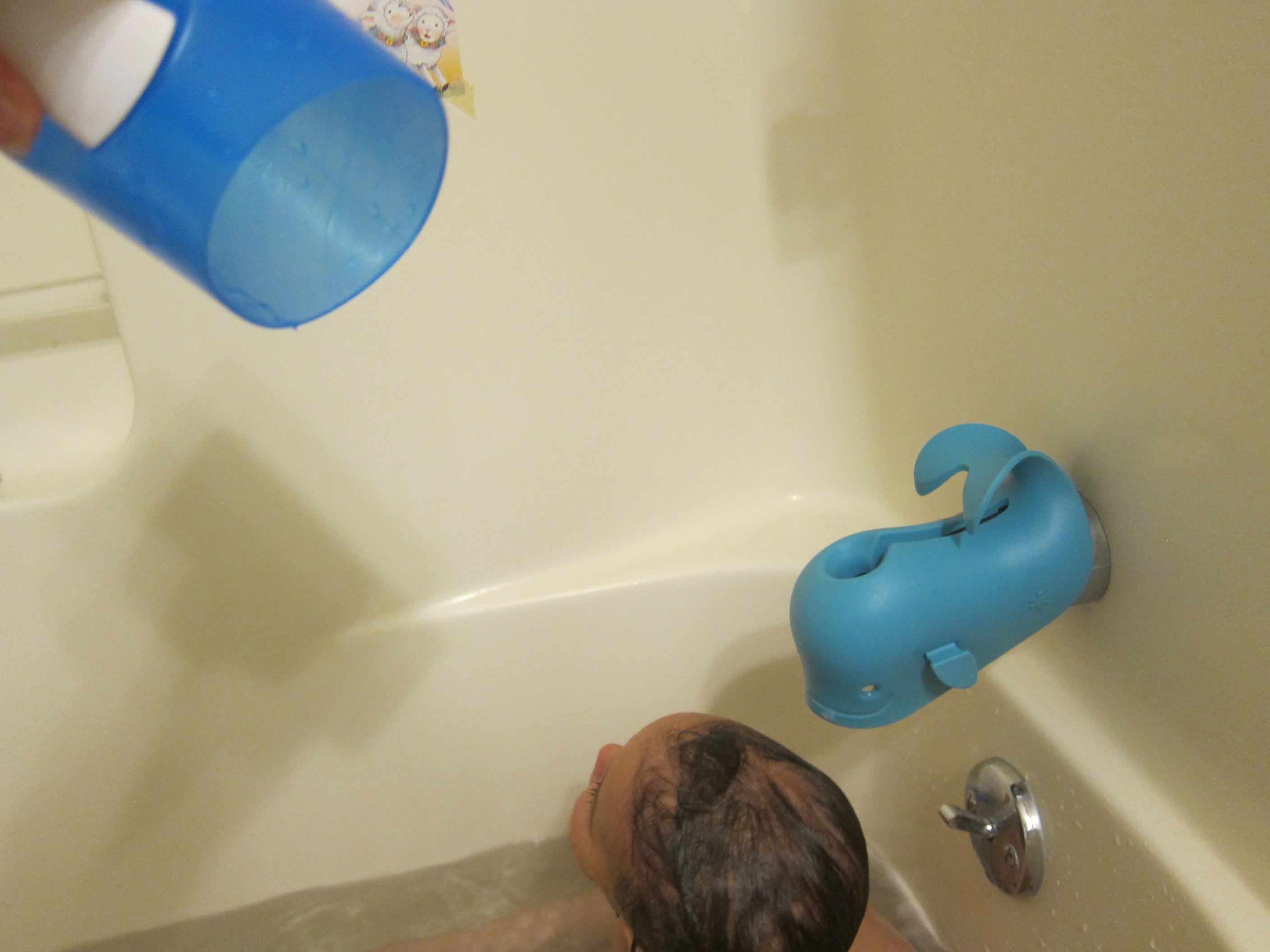 Michaelangelo's Bathtub (7)