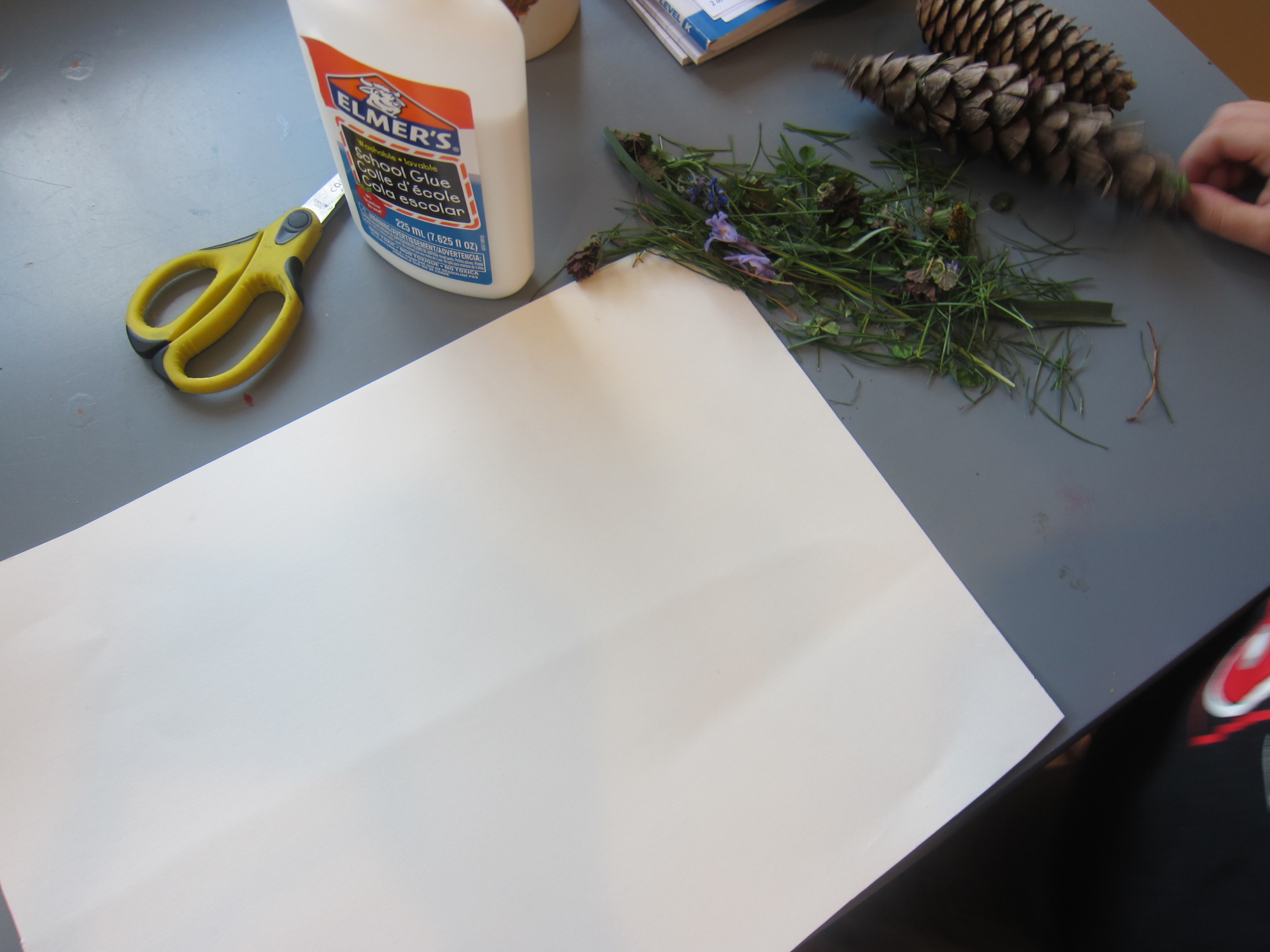 Nature Earth Challenge (1)