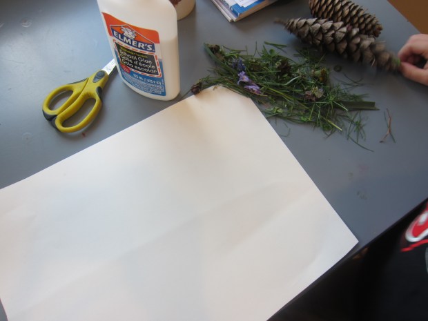 Nature Earth Challenge (1)