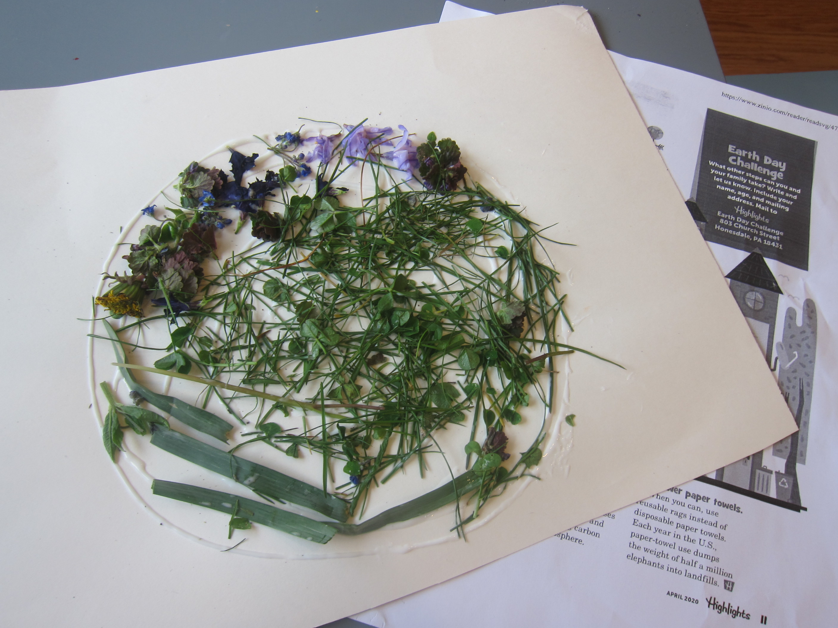 Nature Earth Challenge (6)