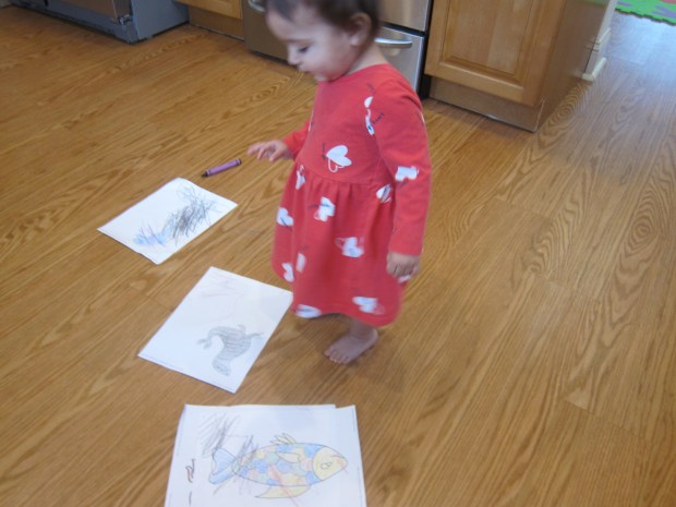 Ocean Animal Movement (2)