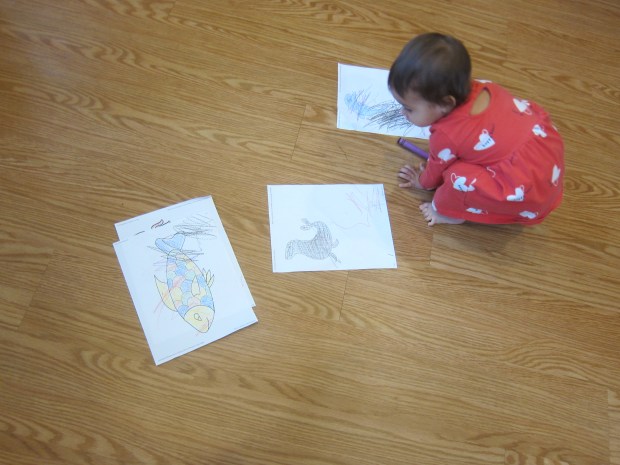 Ocean Animal Movement (3)