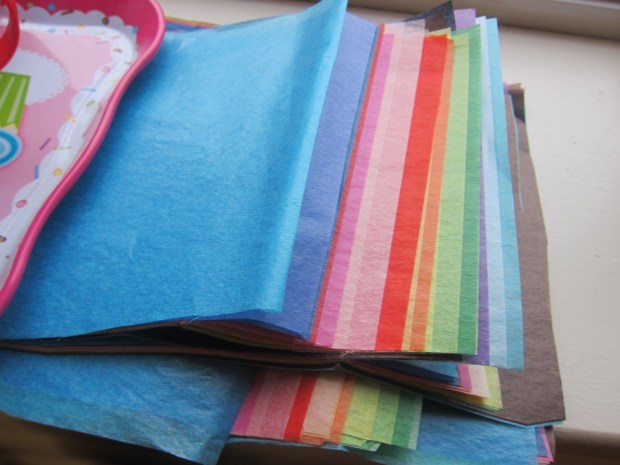 Tissue Paper Bag (1)