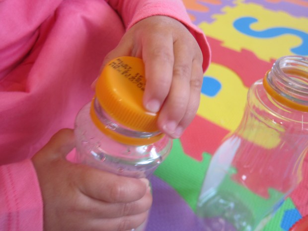 Bottles and Lids (2)