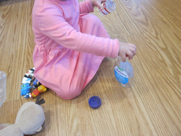 Bottles and Lids (6)