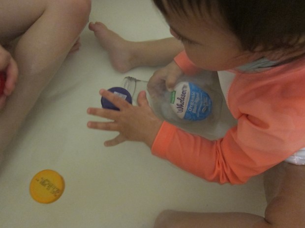 Bottles and Lids (8)